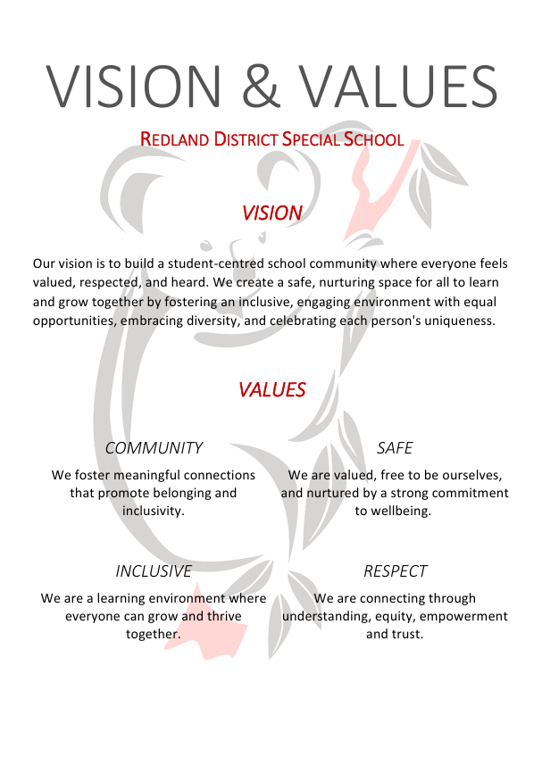 Vision and Value Screenshot.png