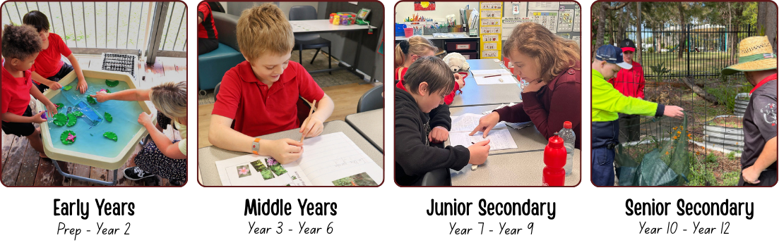 School Website Design  (2).png