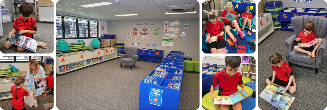 Our library supports literacy, curiosity and a love of learning (7).png